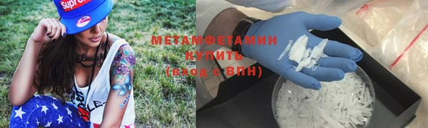 прущие грибы Лиски