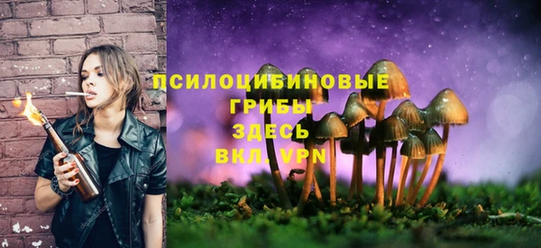 мескалин Лагань