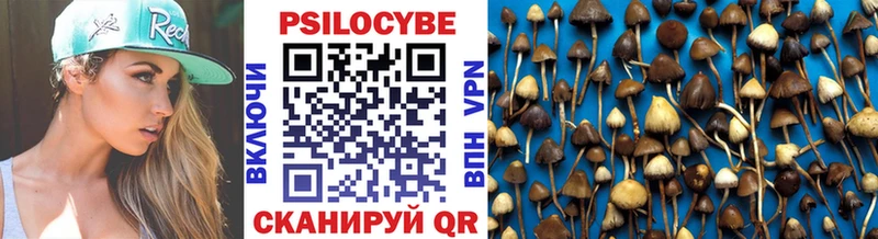 сколько стоит  Мелеуз  Галлюциногенные грибы Psilocybe 